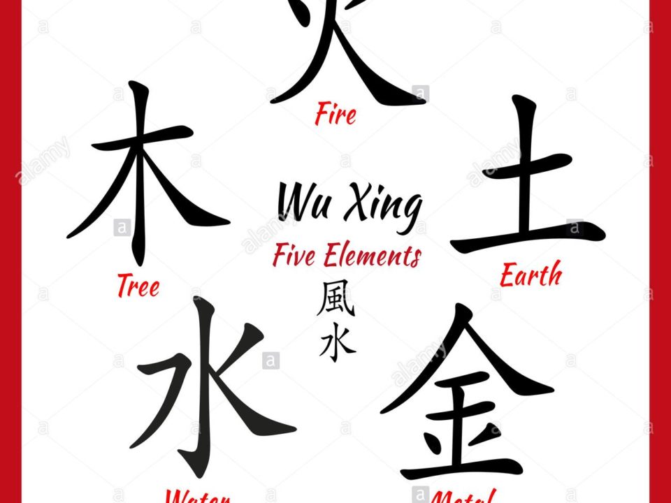 Wu Xing, i Cinque Elementi universali